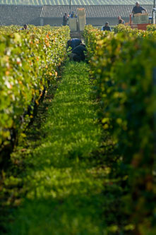 Clos De L'Oratoire